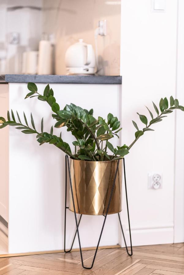Apartament Olawska Wroclaw Ngoại thất bức ảnh